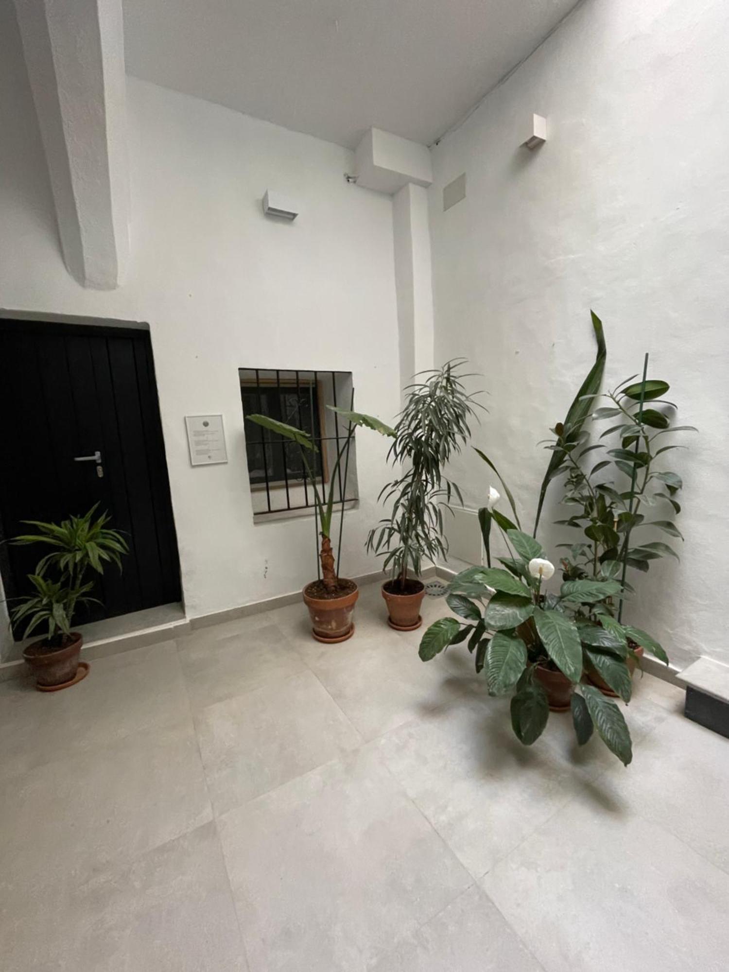 Casa Florinda Tarifa Apartman Kültér fotó